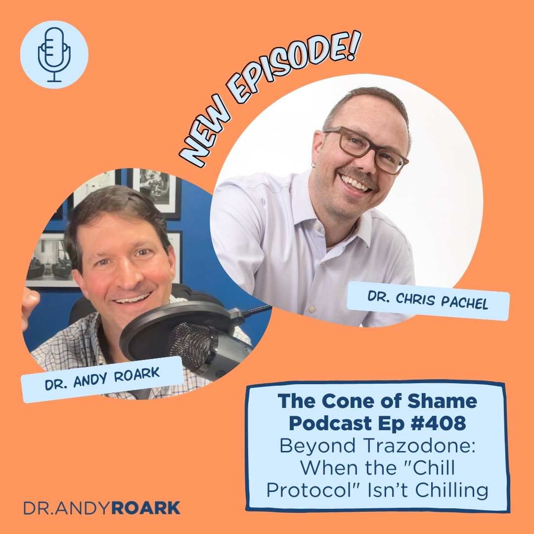 Beyond Trazodone: When the “Chill Protocol” Isn’t Chilling